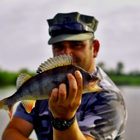 Spring bass fishery